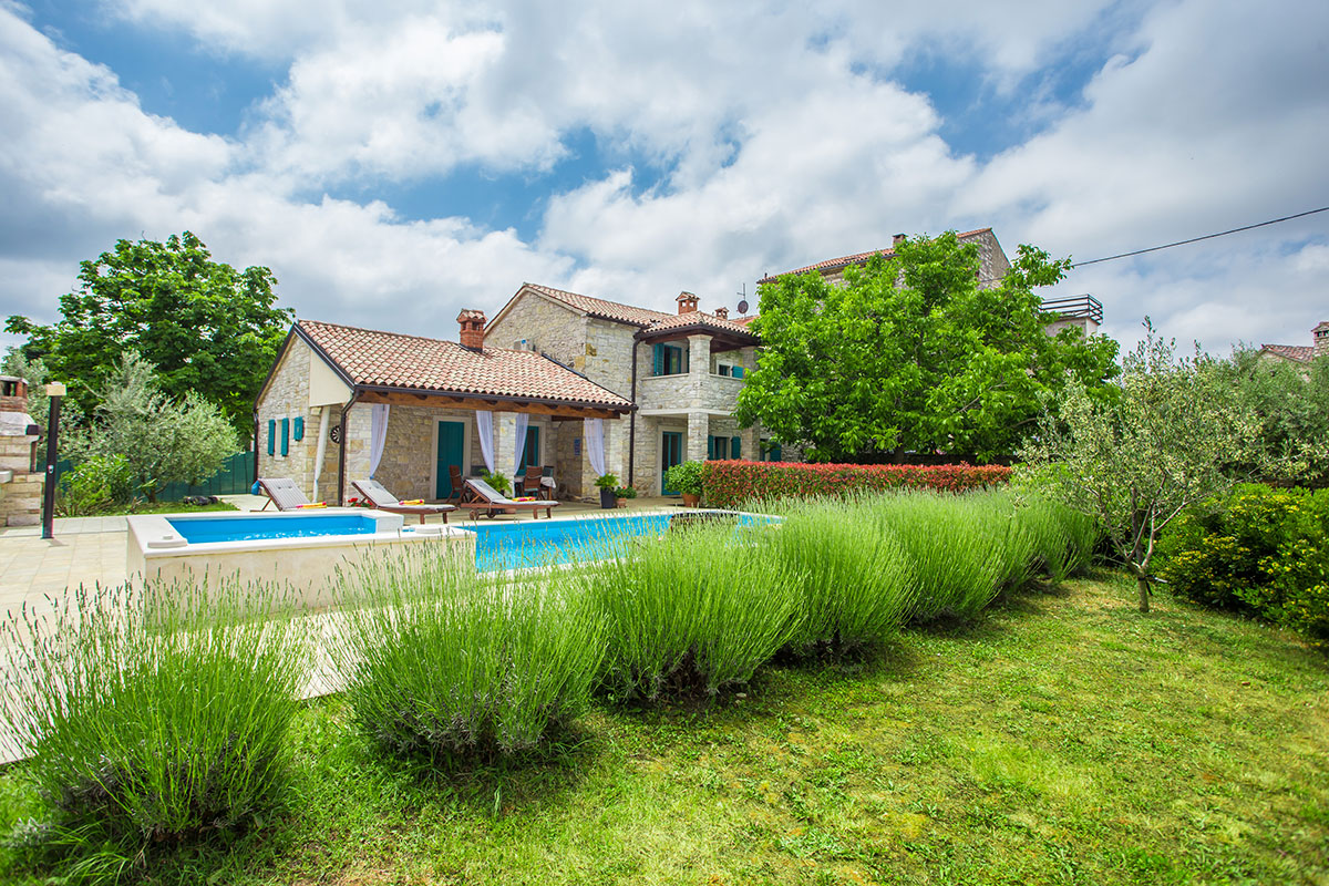Villa Medvidići photo
